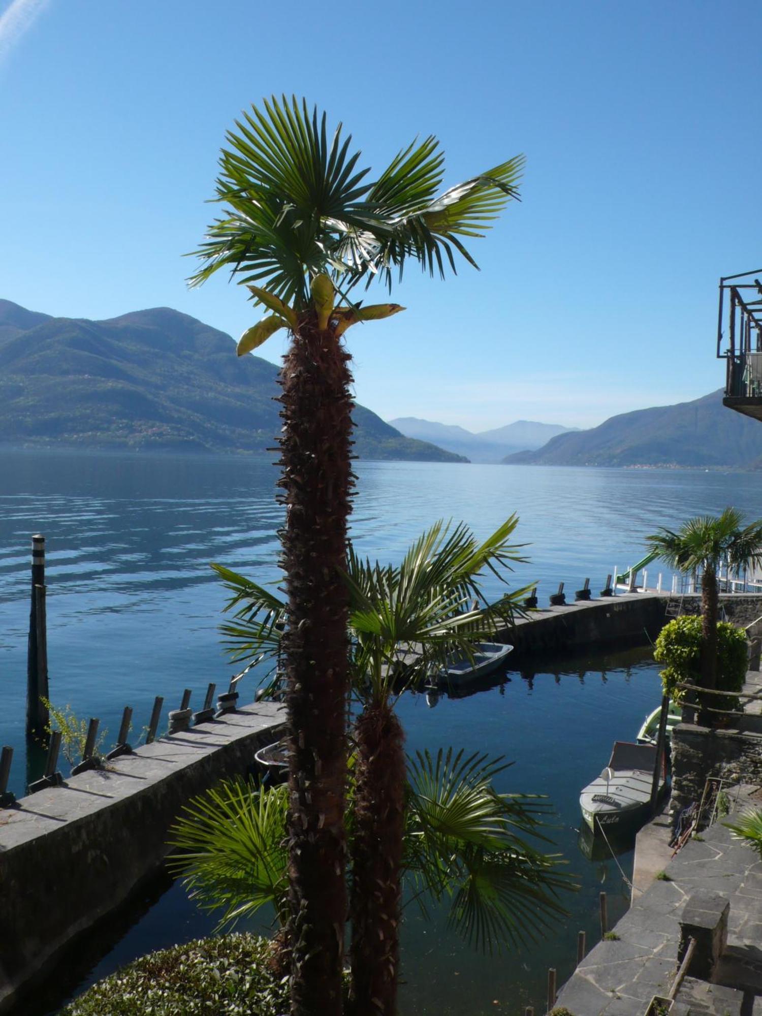 Art Hotel Ristorante Posta Al Lago Ronco sopra Ascona Esterno foto